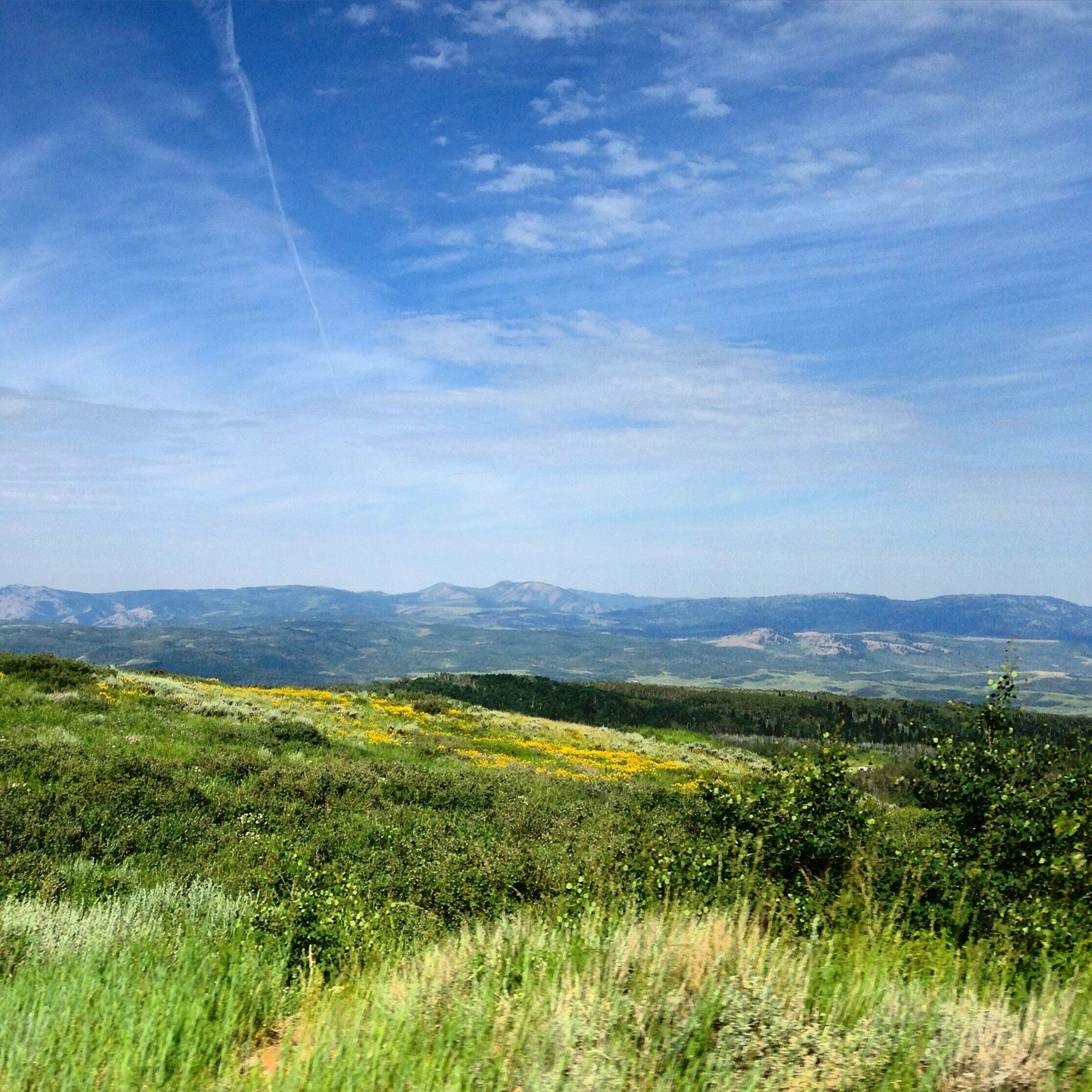 Beautiful scenic drive in the high elevations. 