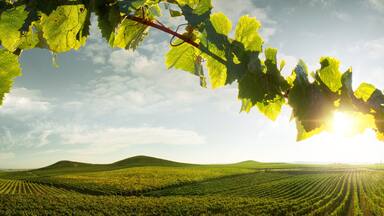 view of nice italian sunny summer countryside landscape