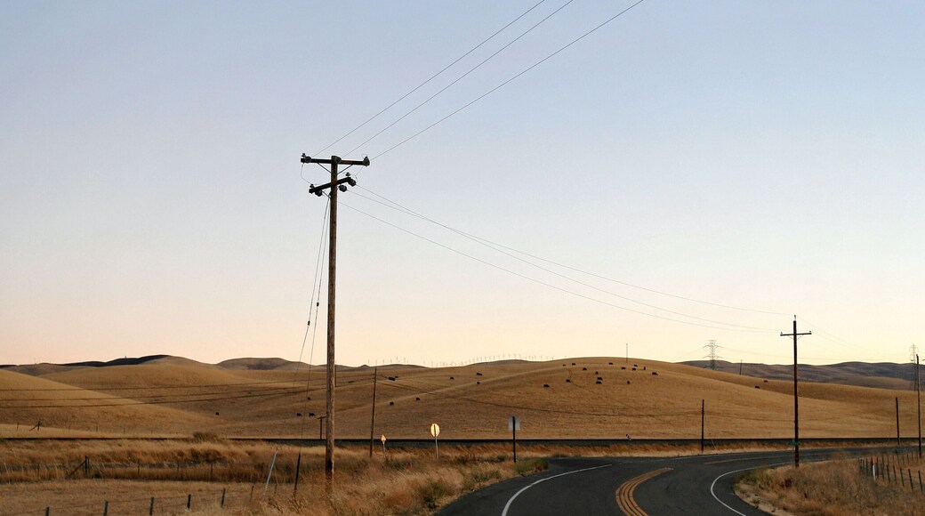 Late Afternoon on Patterson Road near Tracy California