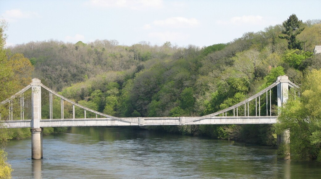 Although it looks like a (concrete) suspension bridge over the Dordogne, it is an ordinary cantilevering bridge from both sides of the river and a hinged inner part for thermal movement possibility!