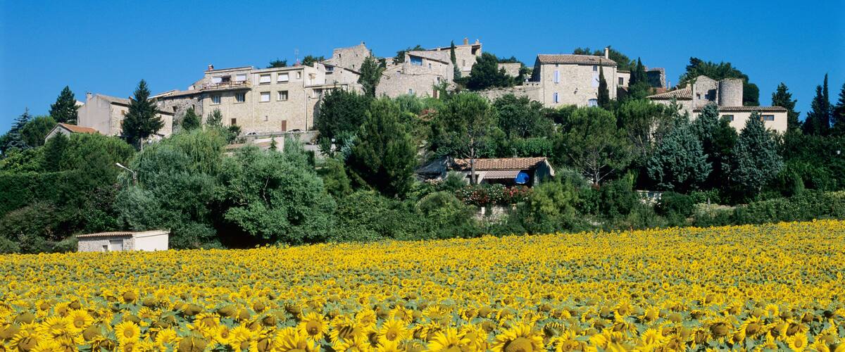 A sunflower field in front of a historic stone building.