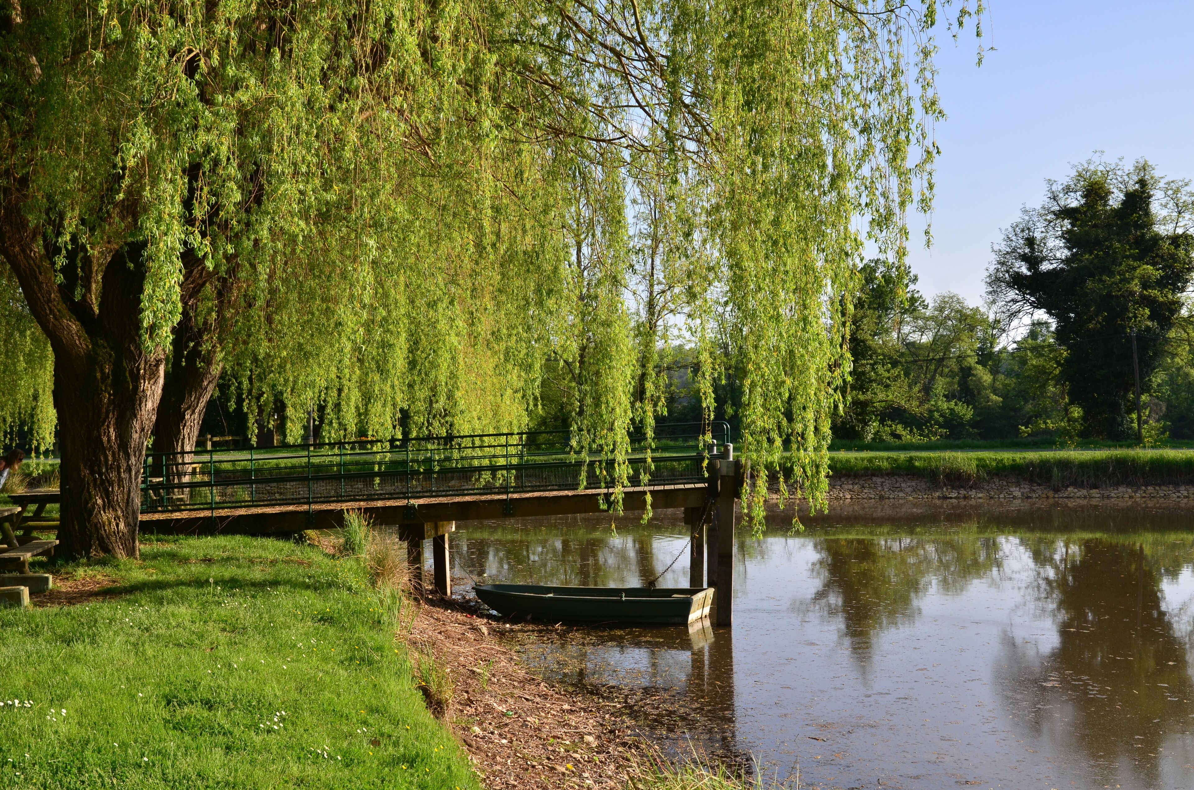 A weeping willow tree, a bridge, and a boat on a calm river.