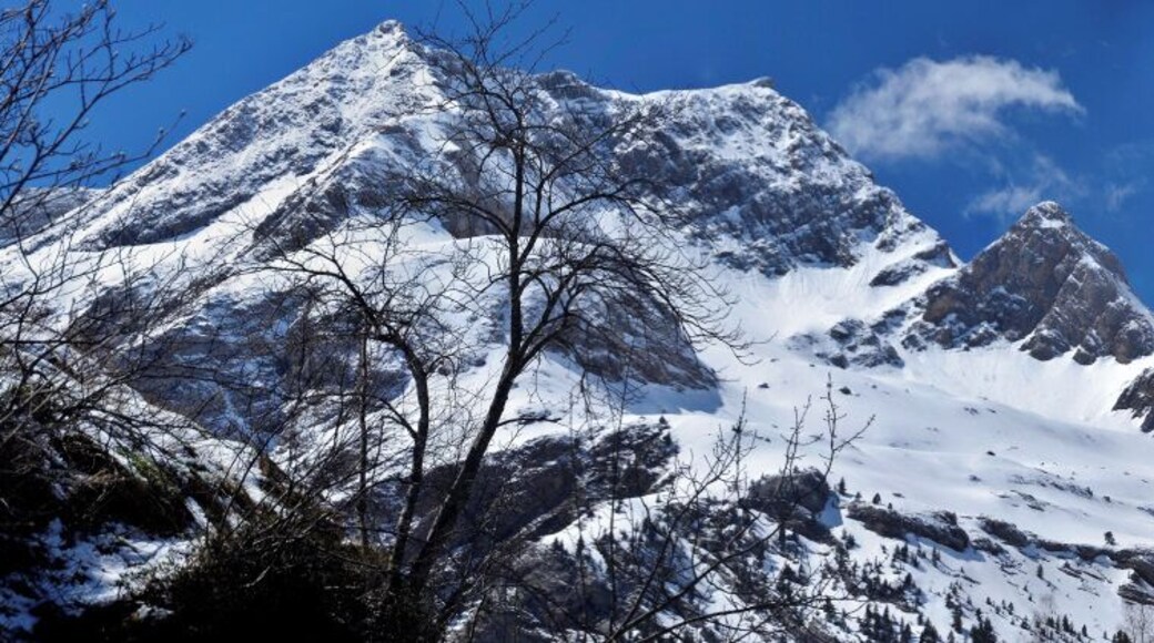 It's a wonderful drive to get to the place and then a pleasant, bascially flat walk of a couple of kilometres to get to this wonderful place. The advertised waterfall may not always be flowing but it's a special day out anyway.