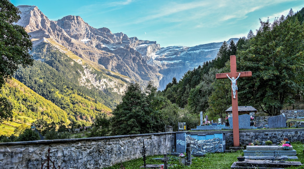 加瓦尔尼-塞德尔