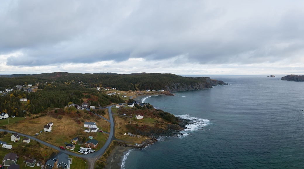 Portugal Cove - St. Philips