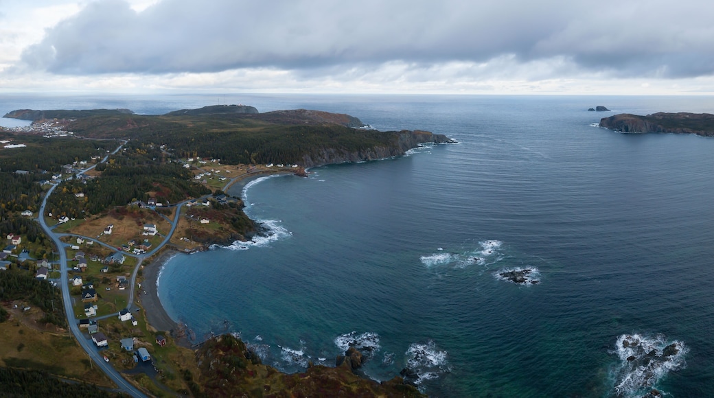 Portugal Cove - St. Philips