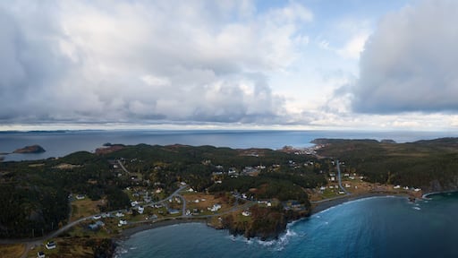 Aerial view of a small town on a rocky Atlantic Ocean Coast during a cloudy day. Taken in Paradise, Twillingate, Newfoundland, Canada.