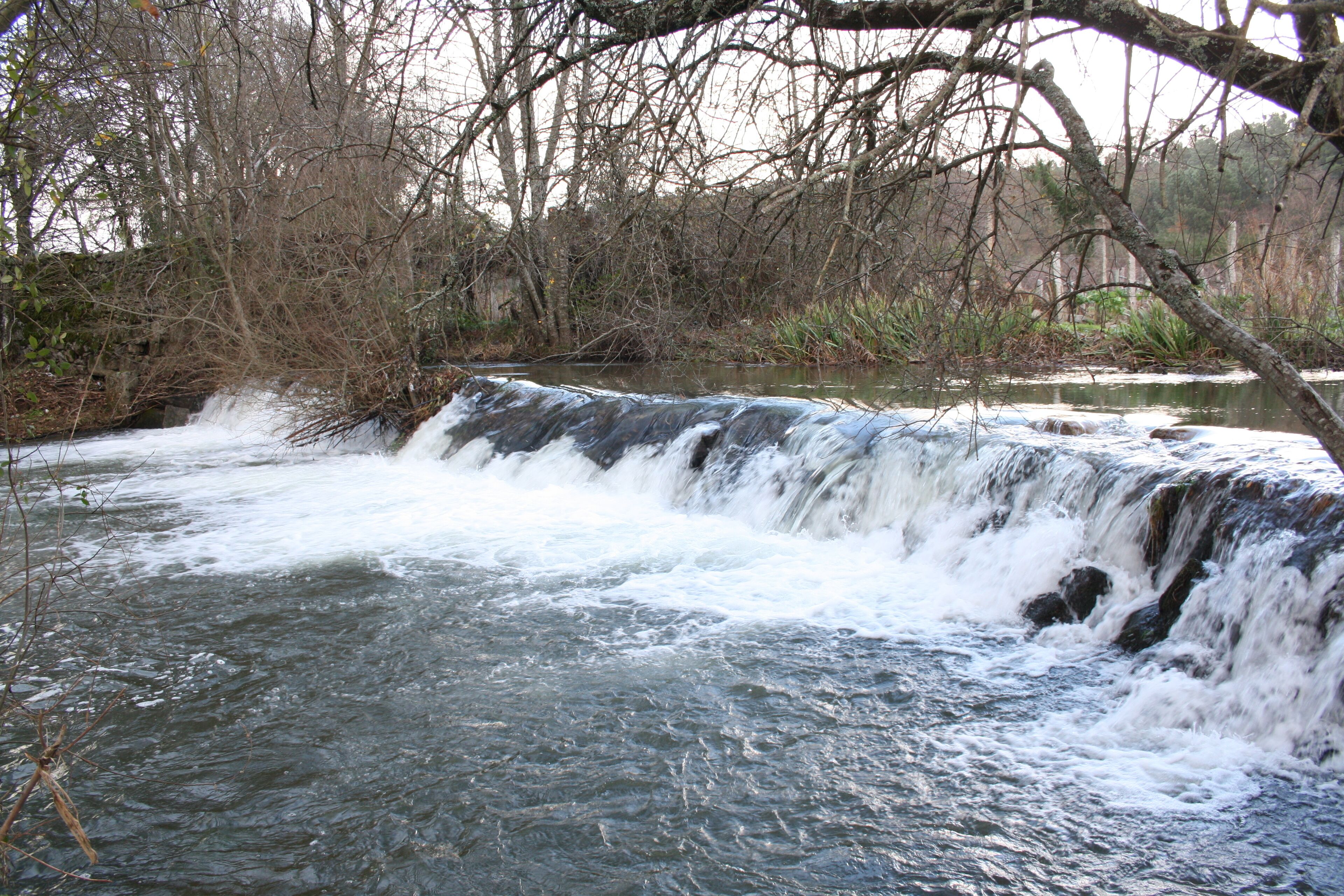 A waterfall in a forested area with bare trees and a calm river.