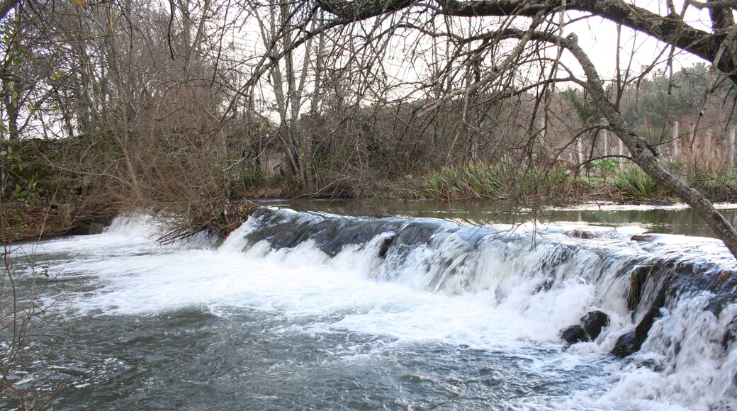 A waterfall in a forested area with bare trees and a calm river.