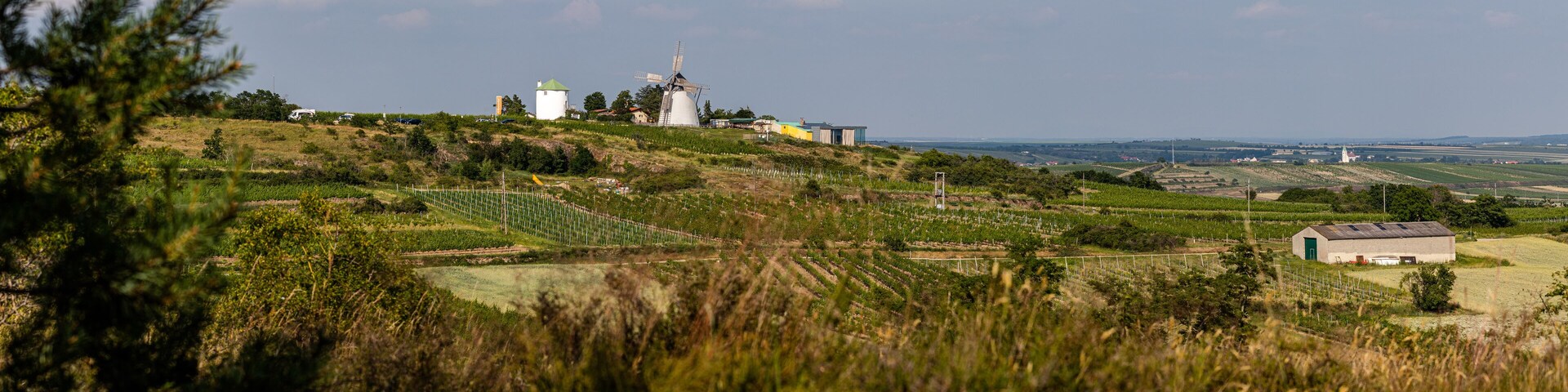 Un molino, una torre de agua y un granero en un paisaje rural.
