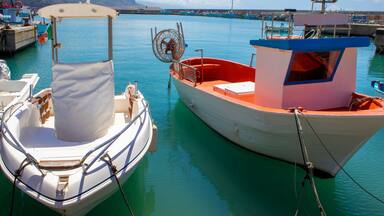 A marina with several boats docked, including a white boat with a blue cabin and a red cabin, and a smaller white boat with a wooden seat.