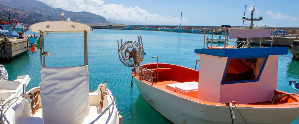 A marina with several boats docked, including a white boat with a blue cabin and a red cabin, and a smaller white boat with a wooden seat.