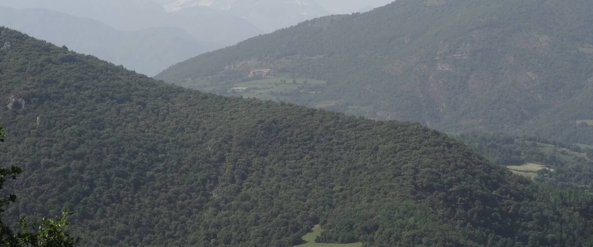 A mountainous landscape with dense forests and a valley.