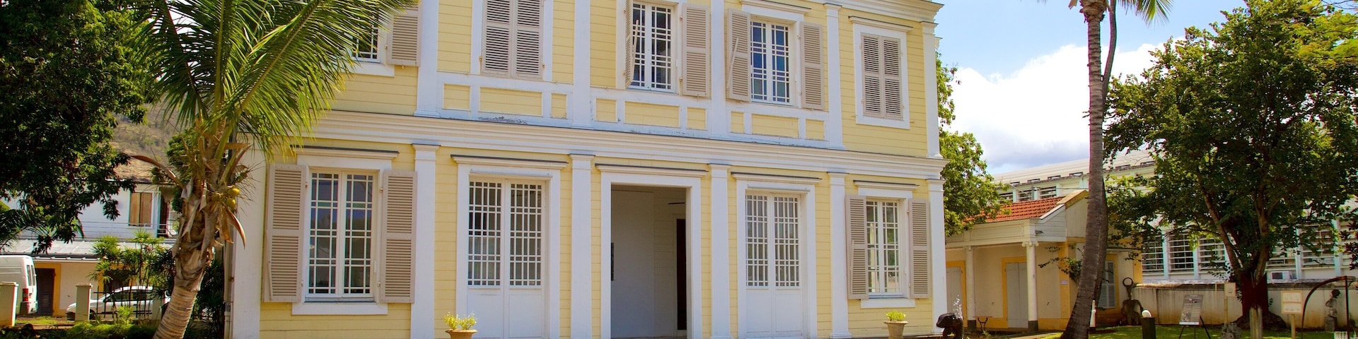 Saint-Denis showing a house