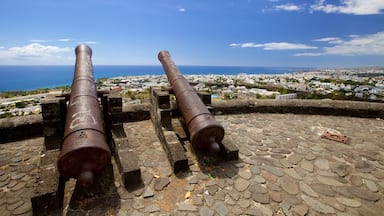 Two cannons on a cobblestone platform overlooking a coastal city.