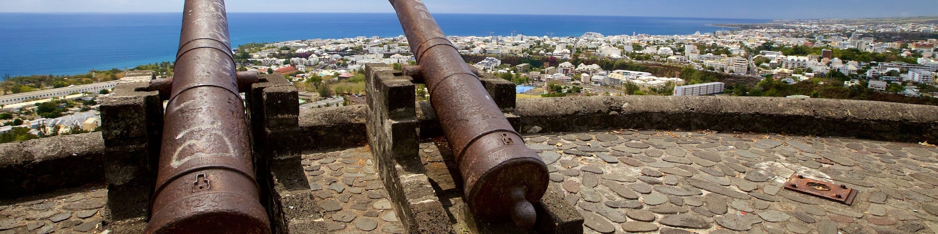 Saint-Denis mostrando elementos patrimoniales, una ciudad y vista general a la costa