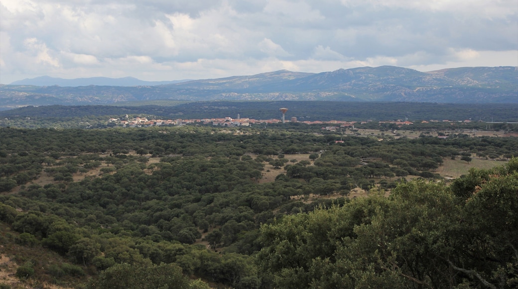Alà dei Sardi, panorama