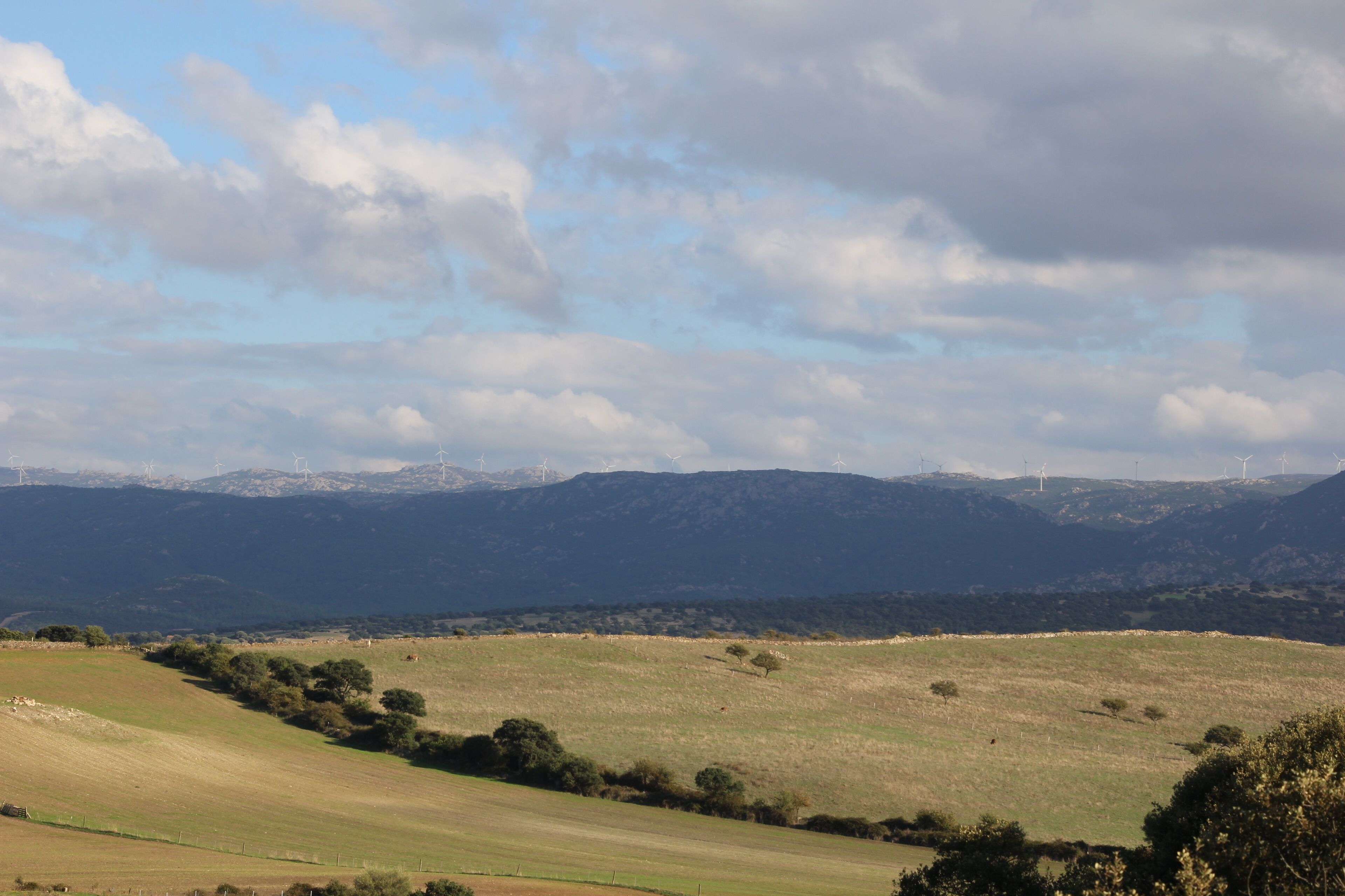 Alà dei Sardi - Buddusò - Parco eolico