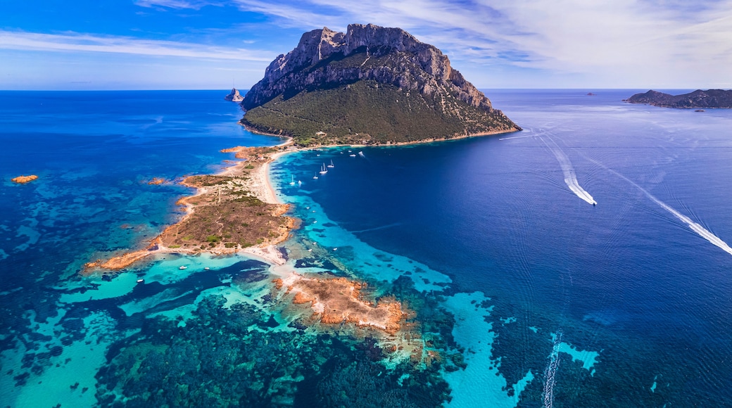 Aerial Panorama of Tavolara Island and Spalmatore di Terra Beach, Majestic Limestone Mountain Rising from Turquoise Sea in Sardinia, Italy, Mediterranean Aesthetic.