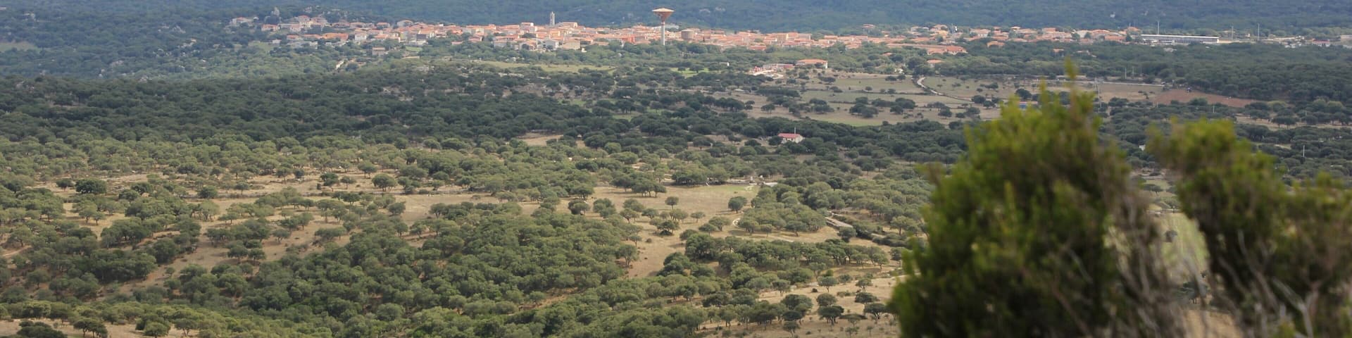 Alà dei Sardi, panorama