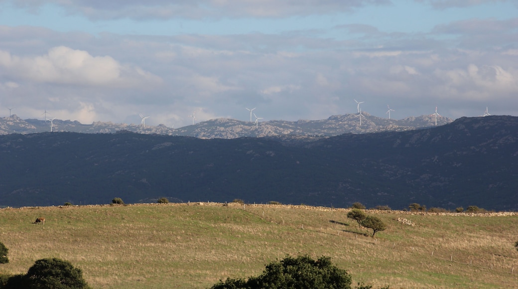 Alà dei Sardi - Buddusò - Parco eolico