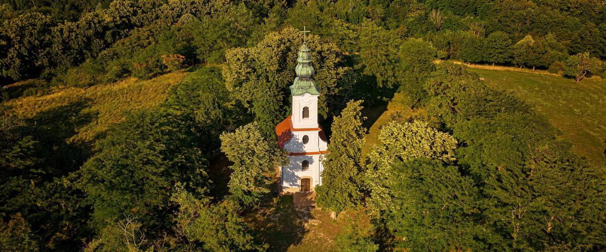 An aerial view of a church surrounded by dense forest.