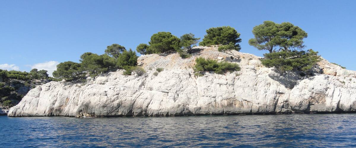 A rocky island with white cliffs and green trees surrounded by blue water.