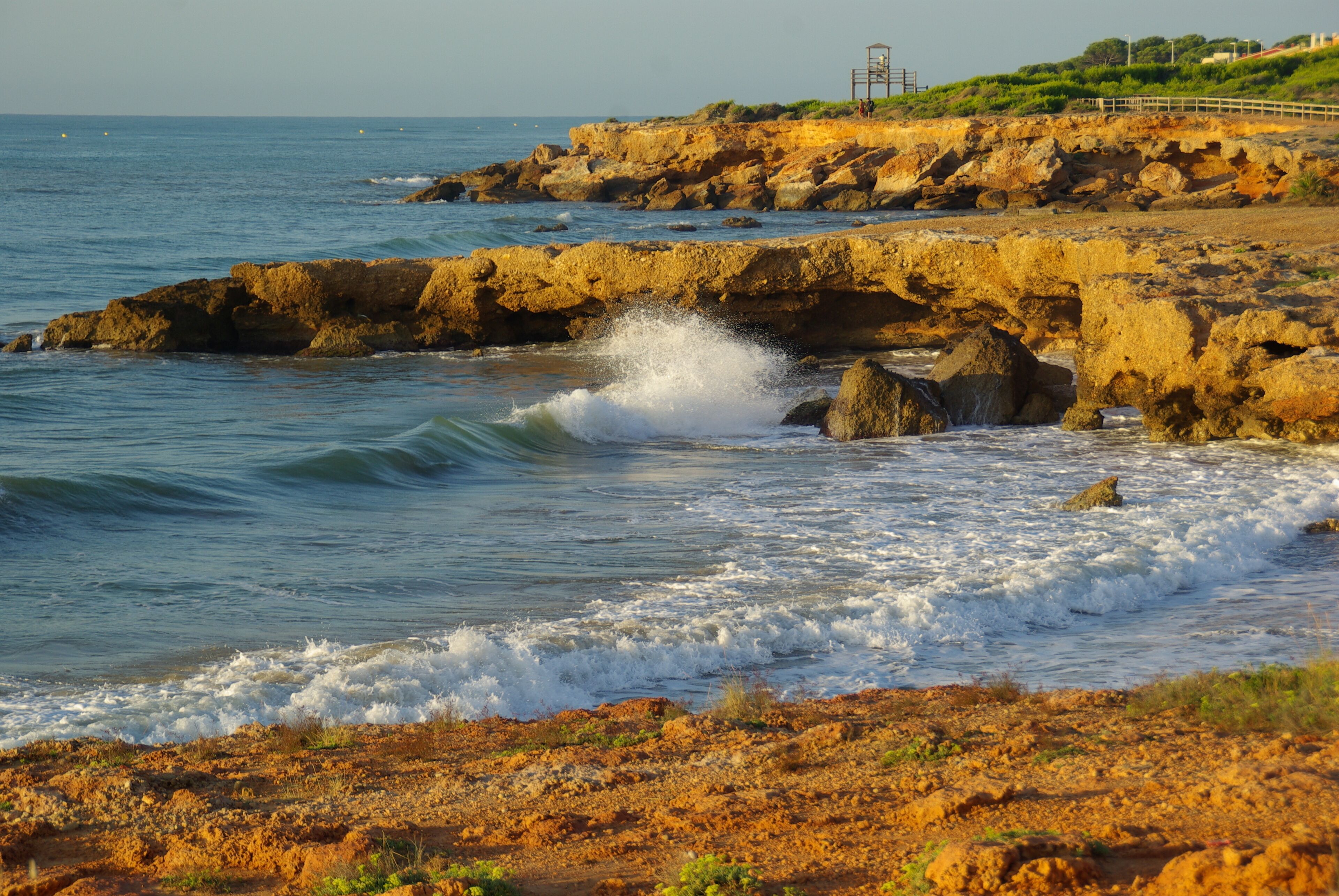 ® ALCOCEBRE COSTA PLAYA DEL MORO (CHICA) HISTO 2 de 12