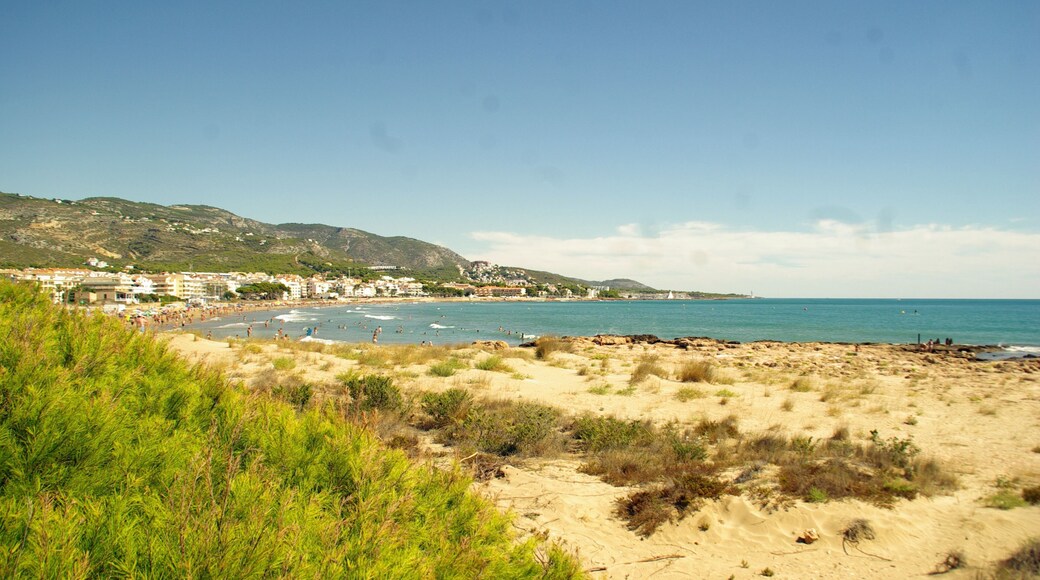 ® M.D. ALCOCEBRE ROQUEDAL MARTÍ_PANORAMA ◙