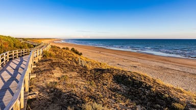 France, Nouvelle-Aquitaine, Le Bois-Plage-en-Re, Panoramic view of empty beachside boardwalk