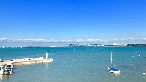 There is an island off of the coast of La Roechelle France called Ile De Re. Absolutely magical. Many beach accesses to choose from. Pay the 8 euros to cross the sky bridge and you will have a slice of heaven with several beautiful beaches to choose from #beachtips
#France #IledeRe #TroveOnTuesday