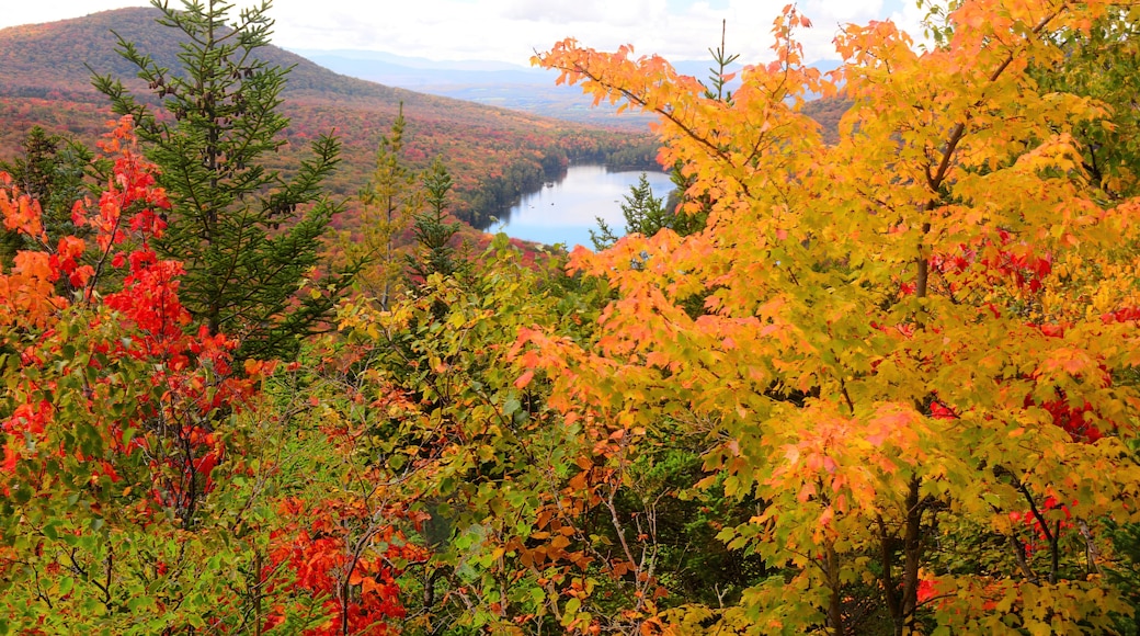 Colorful fall foliage and scenic view from top of Owl's Head Mountain (in Groton State Forest) looking west towards Kettle Pond and the Green Mountains of Vermont.
