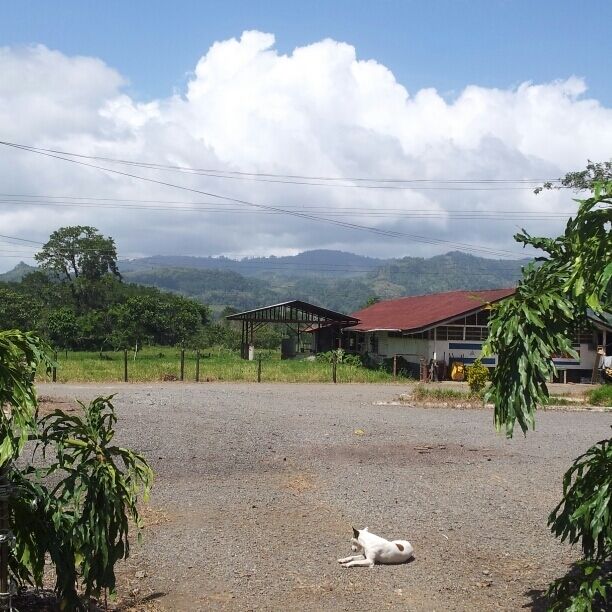 View from Raleigh international field base. Charity helping build schools water supplies etc. Check them out online to volunteer 