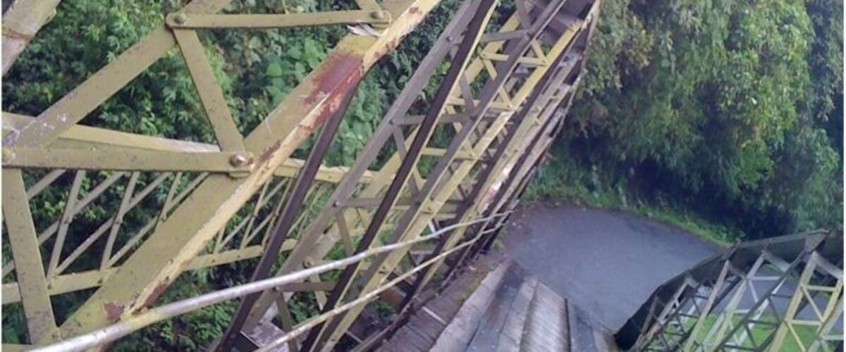 A metal bridge with a wooden walkway surrounded by lush greenery.