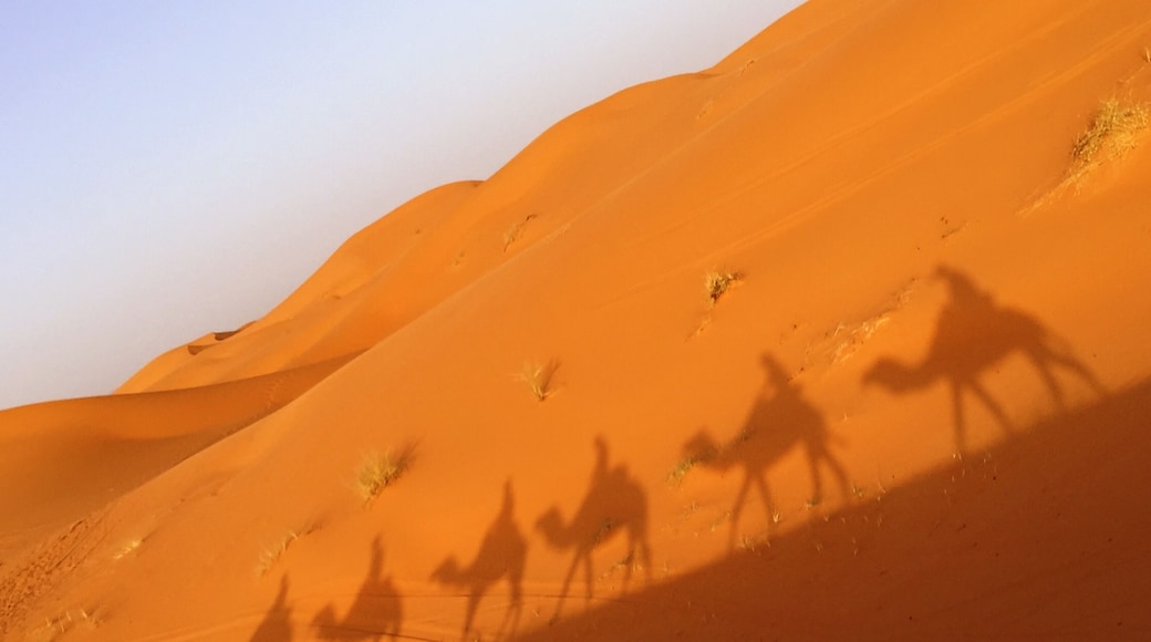 Ride the camel in the desert.