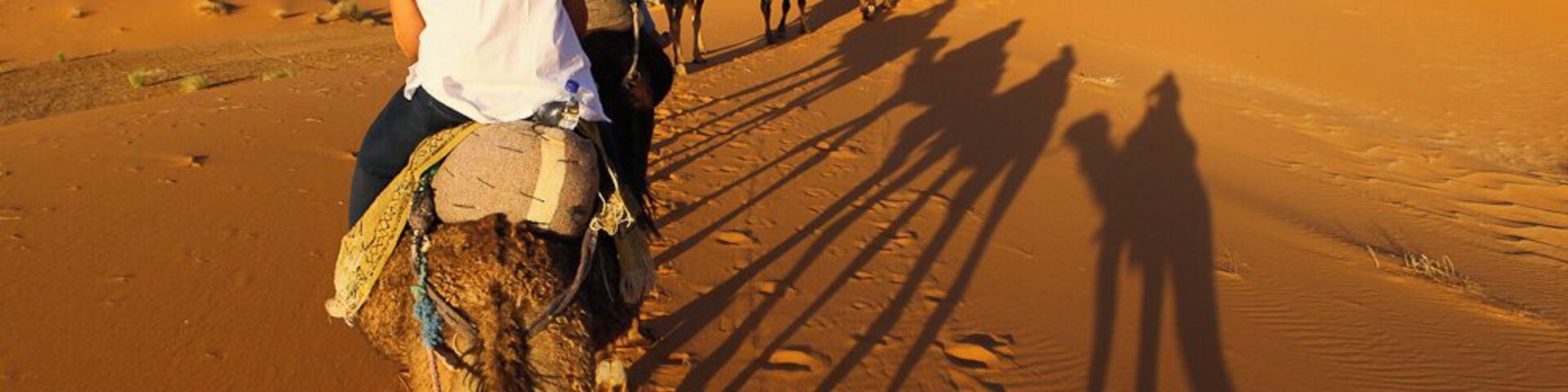 We quietly began our trek to our desert camp.
All that could be heard was the sand swishing as the camels took a step.
Our caravan of 9 led by our 2 amazing camel men, continued to the desert, where sunset was waiting for us.
Absolutely breathtaking.