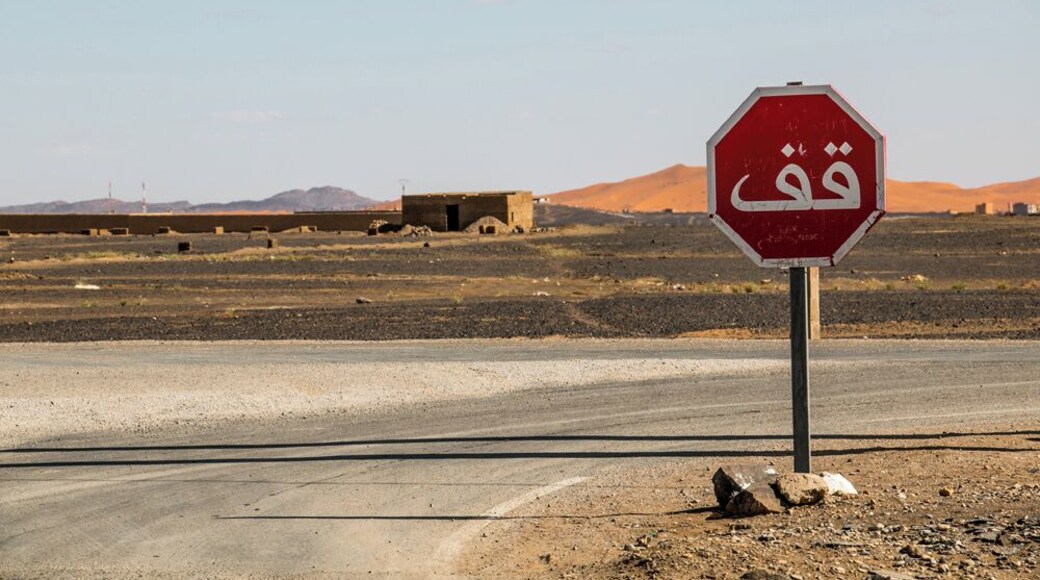 Far in the east of Morocco, near the Algerian border is the village of Merzouga.
When the giant sand dunes of the Sahara begin, they go on as far as the eye can see.
#Africa #Morocco