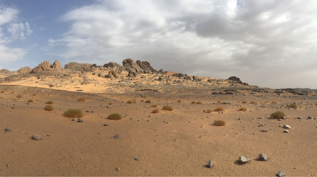 We walked for 5 days in the Sahara with our guide and two camels. We saw a fox, a snake, and it rained on us twice. It was magical.
#sahara #marroc #merzouga #morocco #desertlife #maroc # #marocain #marocaine #mohammedia #deserts #ig_morocco #marroqui #folkmagazine #mytinyatlas #meetthemoment #guardiantravelsnaps #packandgo #mywherever #passionpassport #worldsbestshots #livetravelchannel #travelbug #tasteintravel #traveloften #natgeotravelpic #bbctravel #justgo #infinitetravel #beautifulmatters #traveldeeper
Visa-vis.com