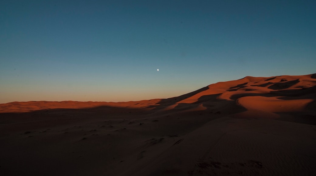 Watching the moonrise in Erg Chebbi (Sahara) desert.
#desert #outdoors #sahara #travel #goldenhour #morocco #africa #northafrica