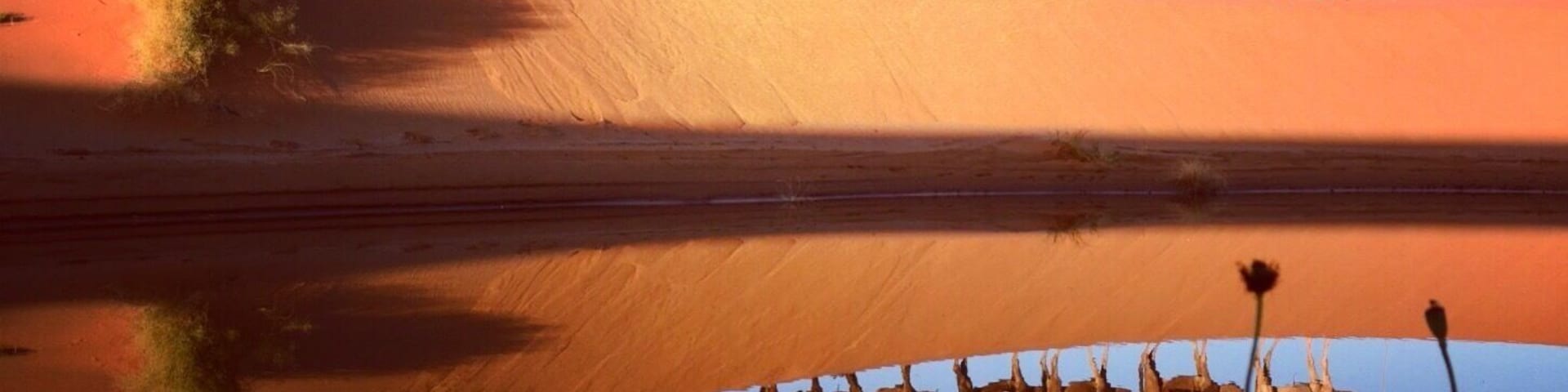 In 2015 we took our first tour with GAdventures to Morocco (our 10th country together). We spent a night camping under the stars in the Sahara and caught this shot on our way out of the desert at sunrise. One of our most memorable travel experiences... #lens4change #endlesssummer