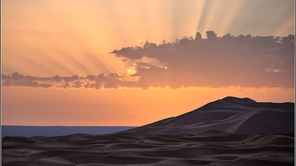 Wüstenlandschaft mit Sanddünen und Sonnenuntergang.