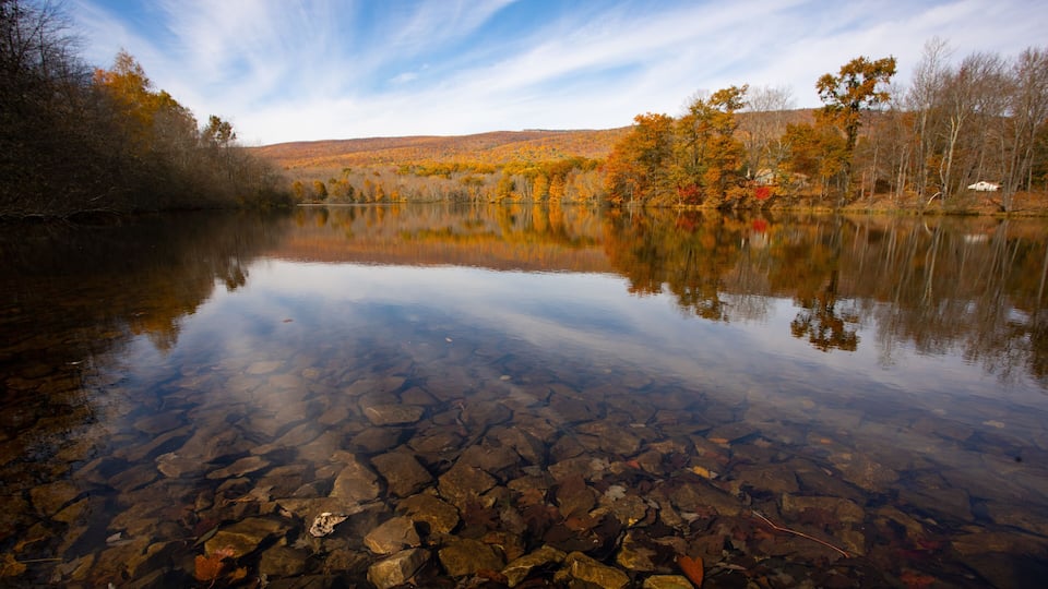 A calm lake with clear water reflecting trees and a hilly landscape.