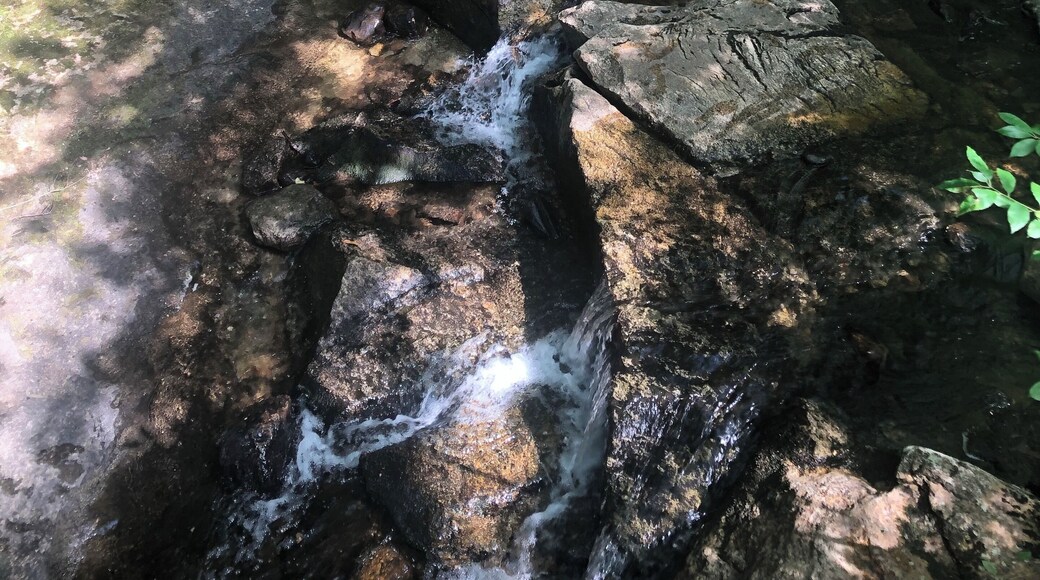 A bit of seclusion, close to NYC (and it's clothing optional).