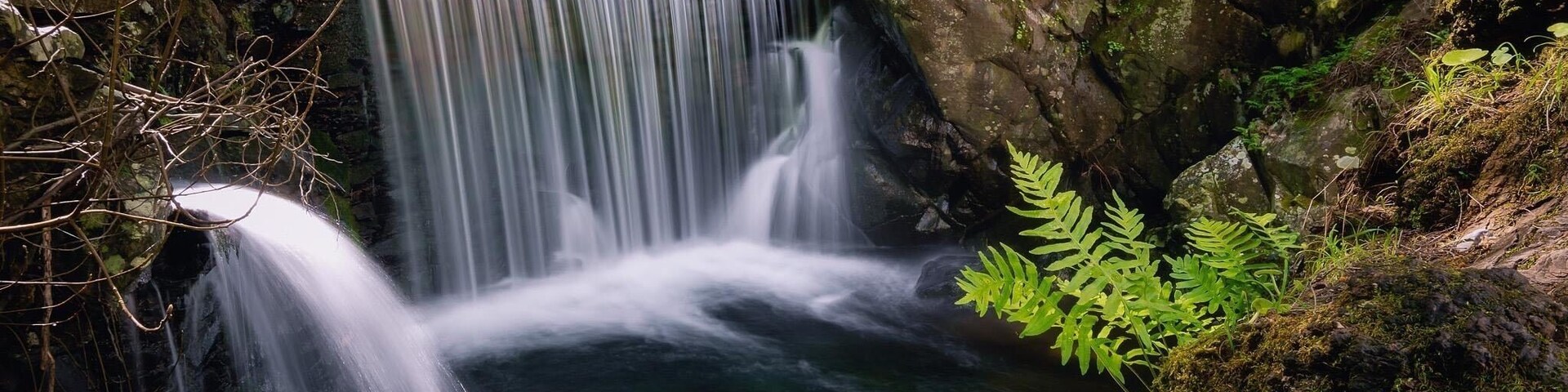 LousĂŁ is in the center of Portugal. This picture was taken in a small river next to the Castle of LousĂŁ. Gorgeous forests and delicious food. Excellent place to visit on your way to Coimbra.