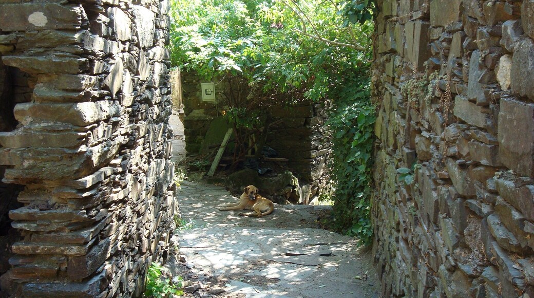 Shale villages
#Green