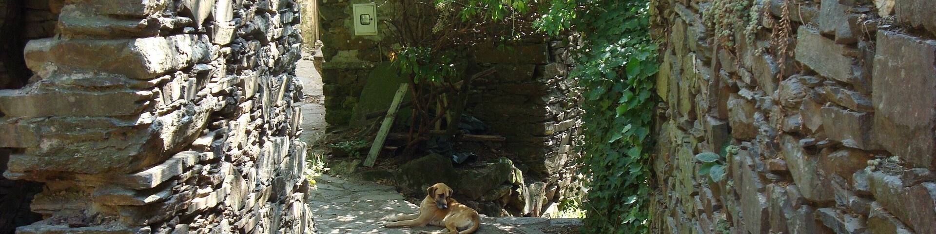 Shale villages
#Green