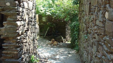 A narrow stone pathway flanked by old stone walls, with a dog lying on the ground in the center.