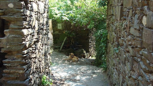 Shale villages
#Green