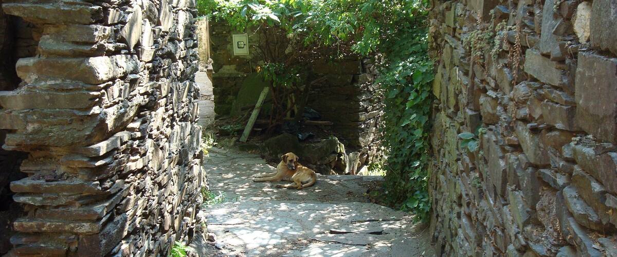 A narrow stone pathway flanked by old stone walls, with a dog lying on the ground in the center.