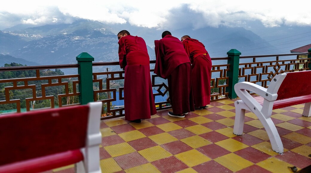 While they are not chanting for prayers, which we found takes 4-5 hours in afternoon, monks in red relax in picturesque surroundings of the Rumtek monastery. #redphotosweepstakes #red